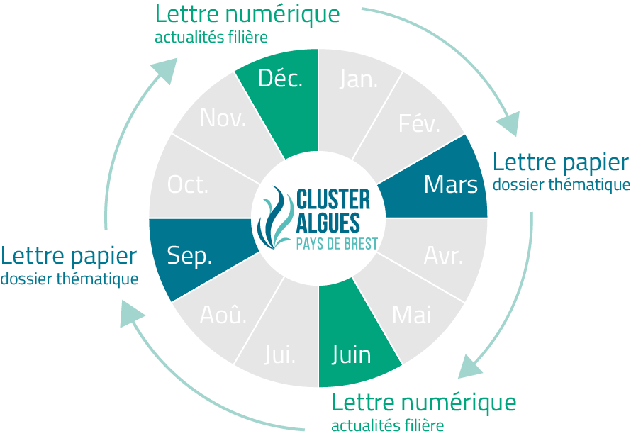 Calendrier annuel de publication des lettres d'informations du Cluster algues
