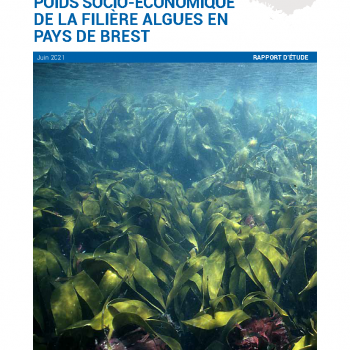 Etude socio-économique de la filière algues en Pays de Brest 