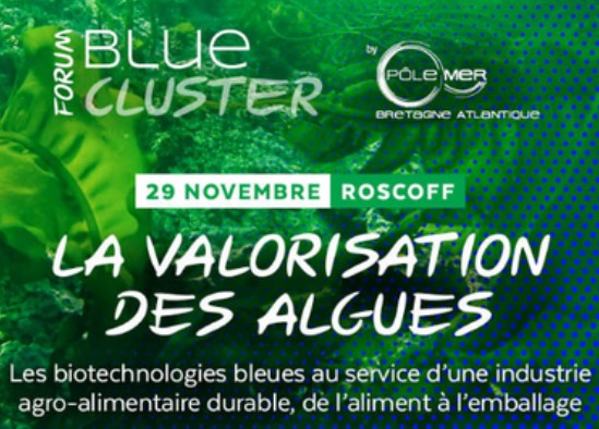 Forum Blue Cluster 2022
