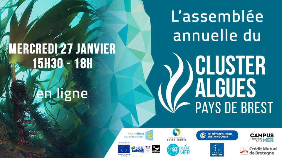 L'assemblée annuelle du Cluster algues Pays de Brest